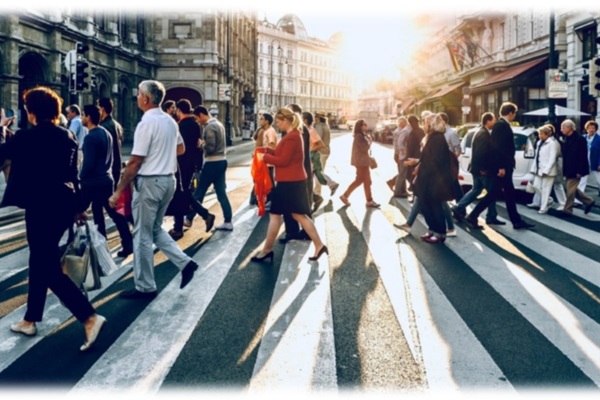 Quelles trajectoires pour la cuisine équipée ?